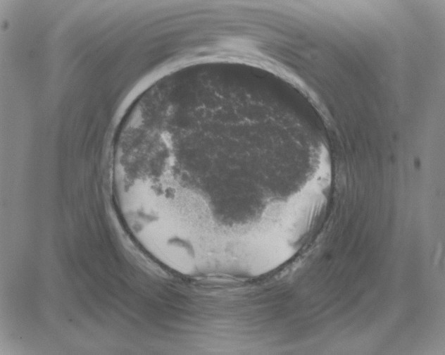 X0000080101522200701051252