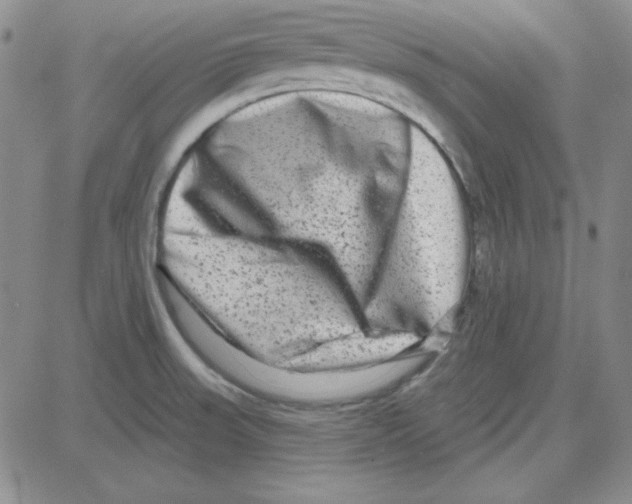 X0000080101523200701051252