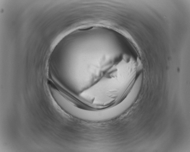 X0000080101524200701051252