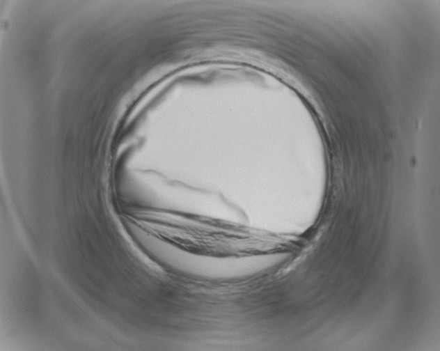 X0000080101525200701051252