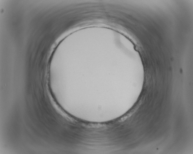 X0000080101526200701051252