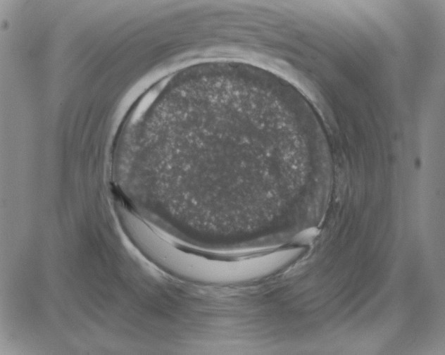 X0000080101527200701051252