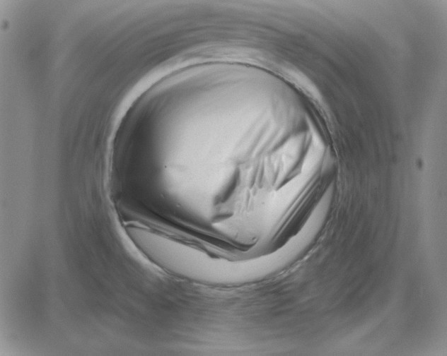 X0000080101528200701051252