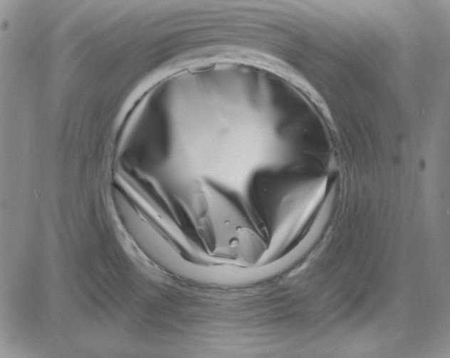 X0000080101530200701051252