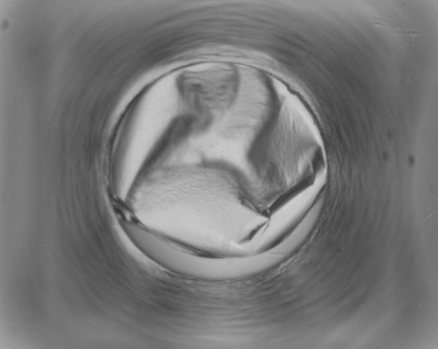 X0000080101531200701051252