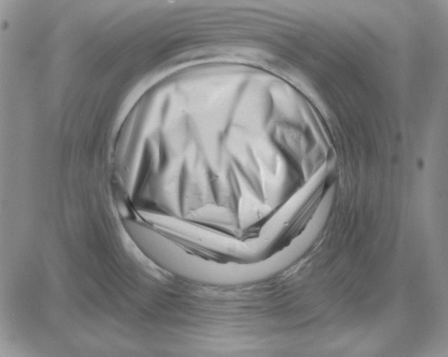 X0000080101532200701051252