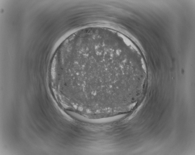 X0000080101533200701051252