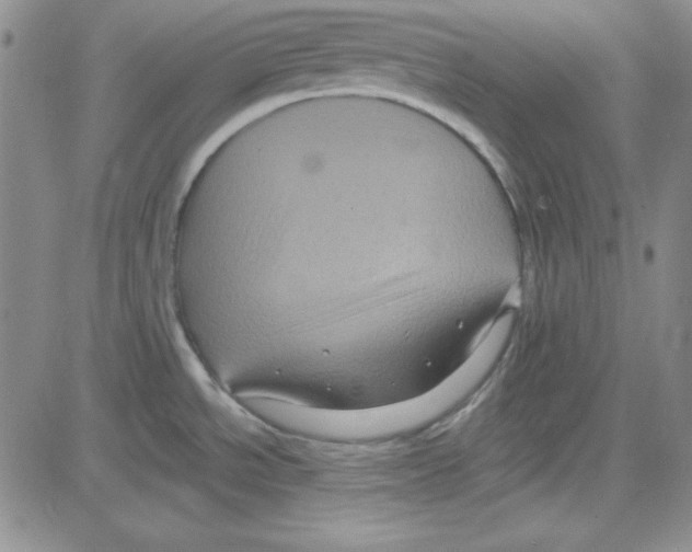 X0000080101534200701051252