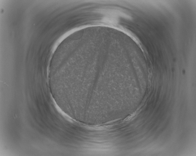 X0000080101535200701051252