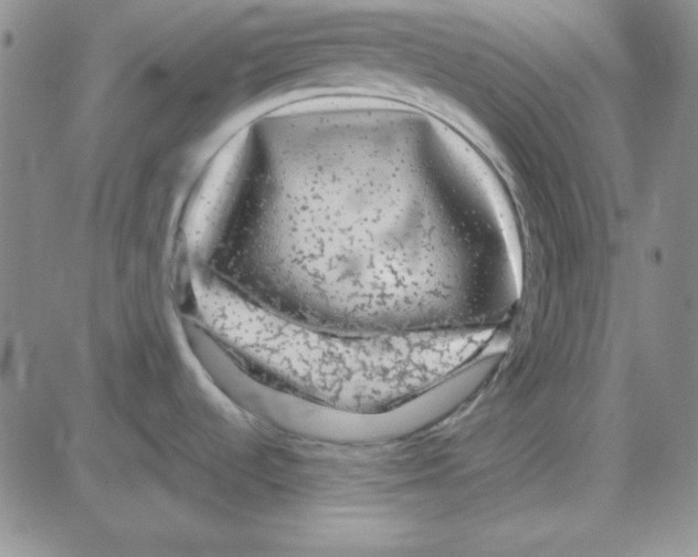 X0000080101536200701051252