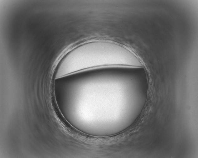 X0000080110007200612081007