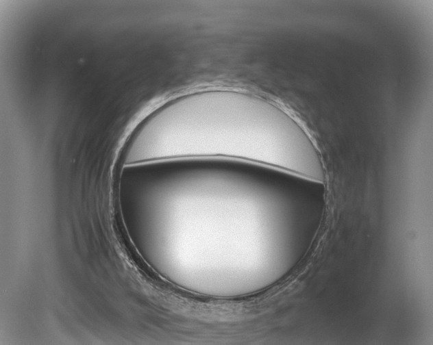 X0000080110008200612081007