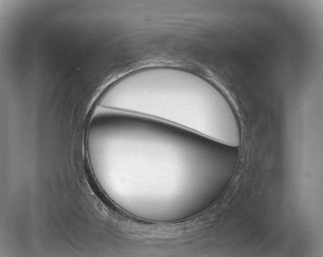 X0000080110011200612081007