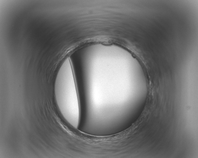 X0000080110013200612081007