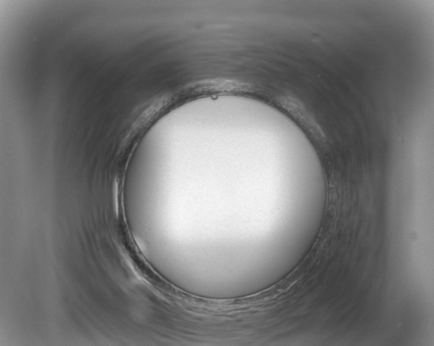 X0000080110014200612081007