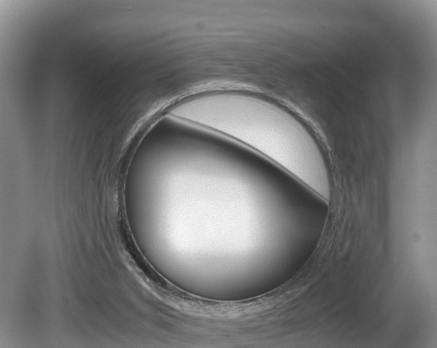 X0000080110015200612081007