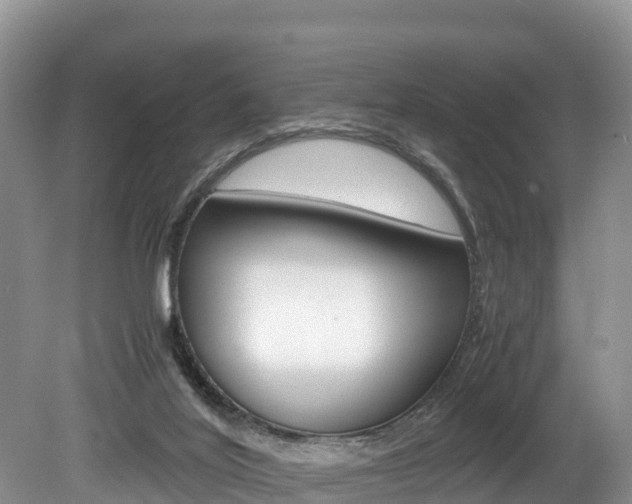 X0000080110020200612081007