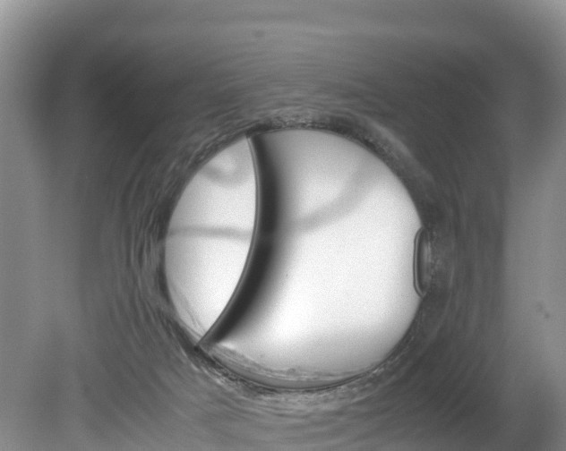 X0000080110025200612081007