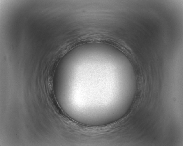 X0000080110029200612081007
