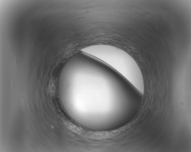 X0000080110037200612081006
