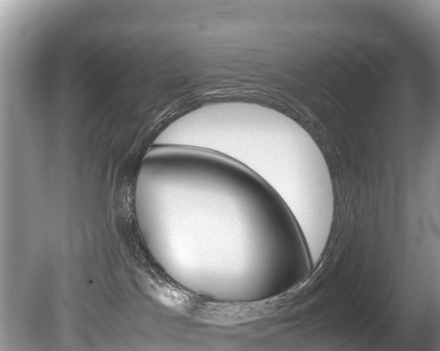 X0000080110045200612081006