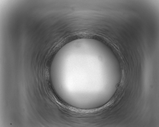 X0000080110048200612081006
