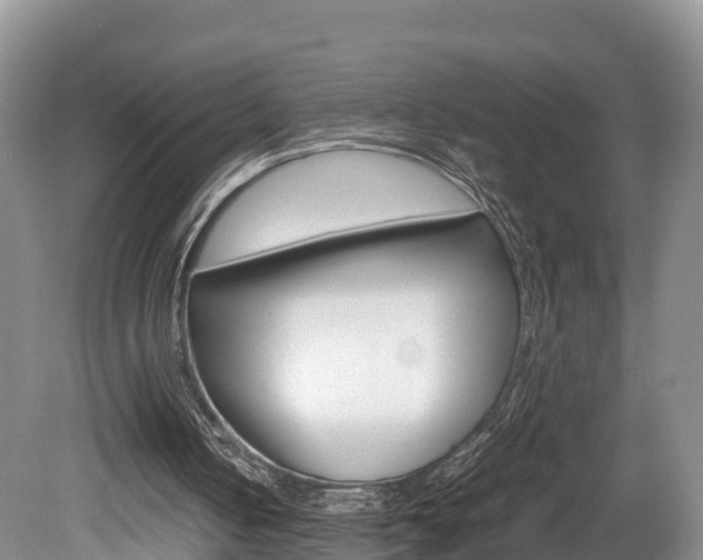 X0000080110050200612081005