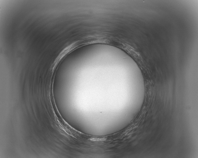 X0000080110051200612081005