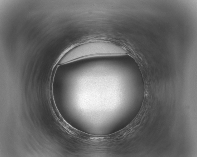 X0000080110052200612081005