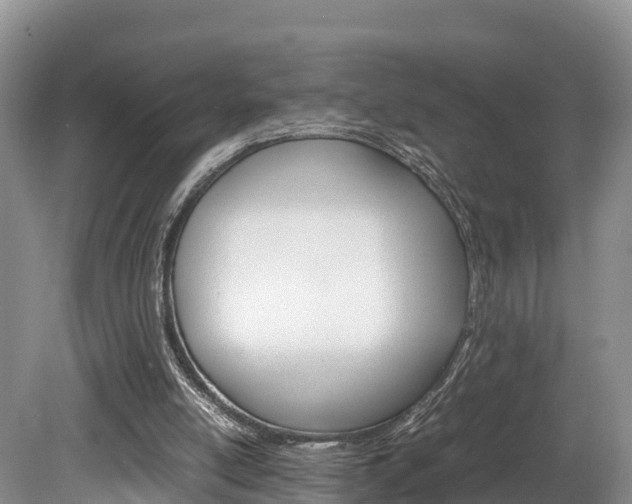X0000080110054200612081006