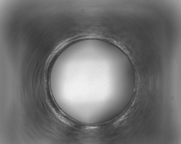 X0000080110055200612081006