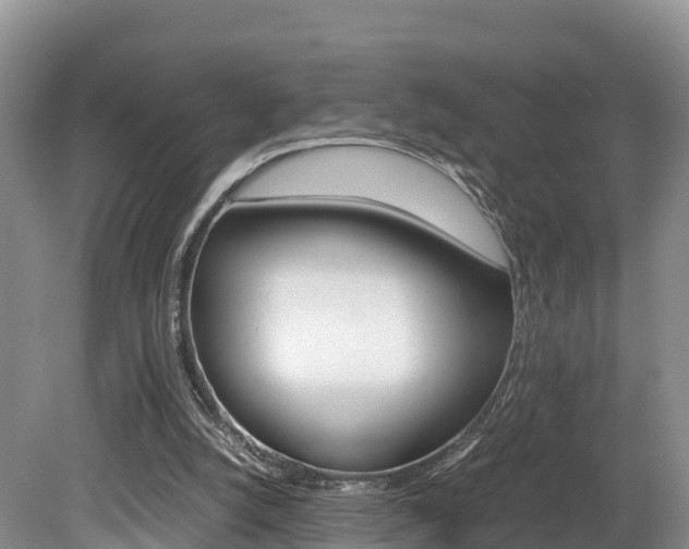 X0000080110056200612081006