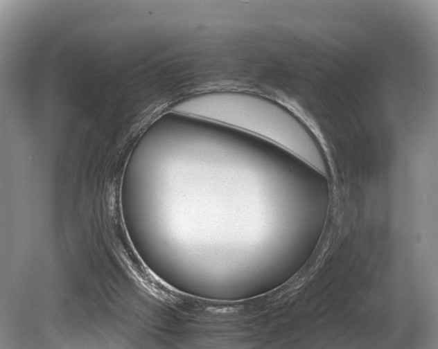 X0000080110057200612081006