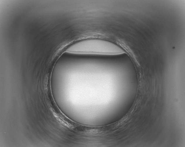 X0000080110058200612081006