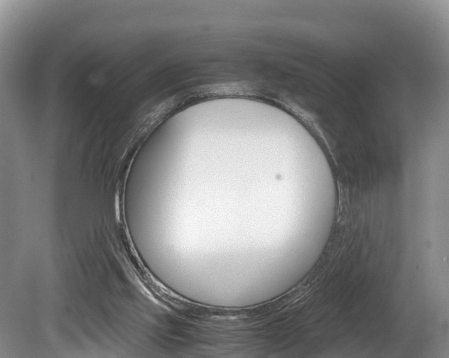 X0000080110061200612081006
