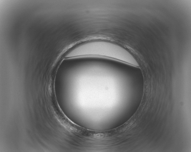 X0000080110064200612081006
