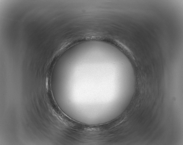 X0000080110067200612081006