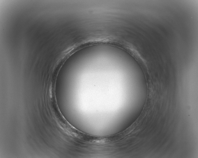 X0000080110068200612081006