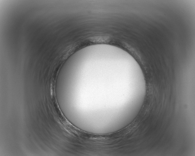 X0000080110069200612081006