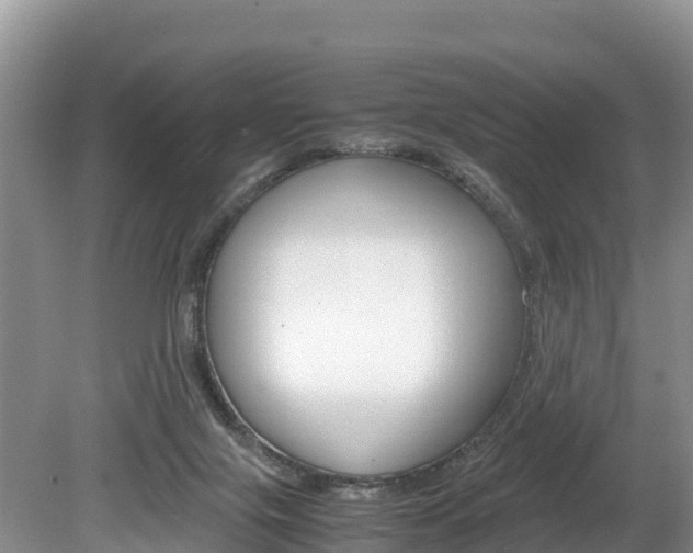 X0000080110071200612081006