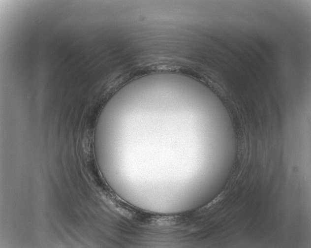 X0000080110078200612081006