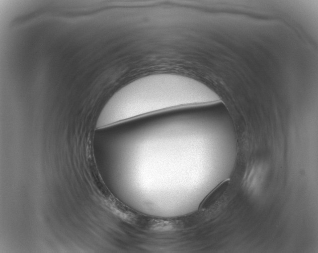 X0000080110083200612081006