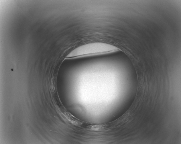 X0000080110088200612081006