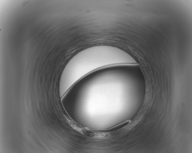 X0000080110096200612081006