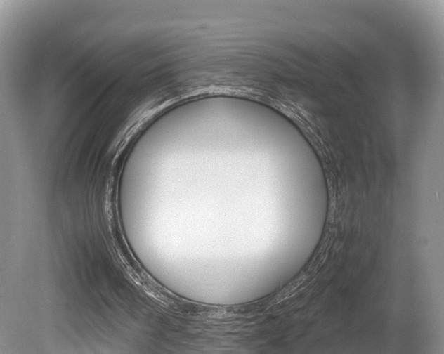X0000080110098200612081005