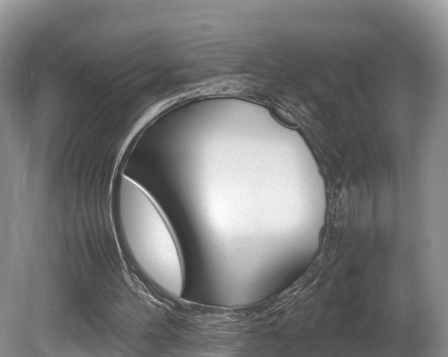 X0000080110100200612081005