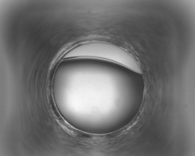 X0000080110101200612081005