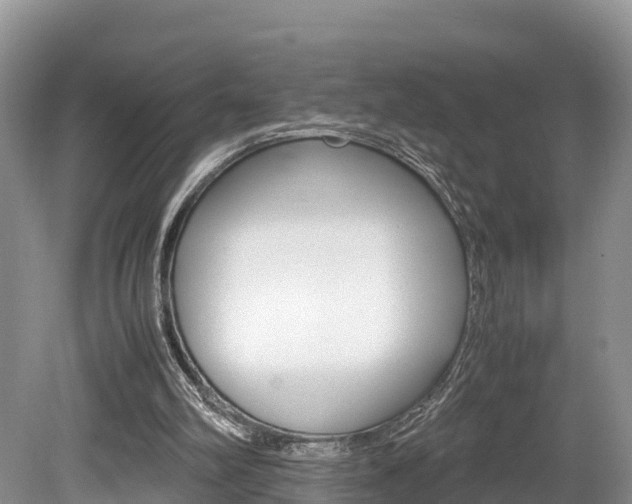 X0000080110102200612081005