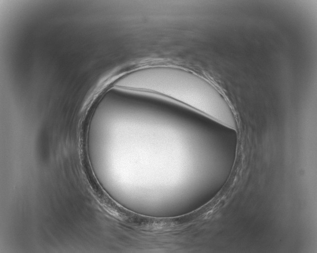 X0000080110103200612081005