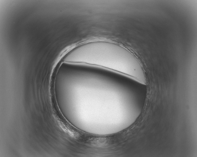X0000080110104200612081005